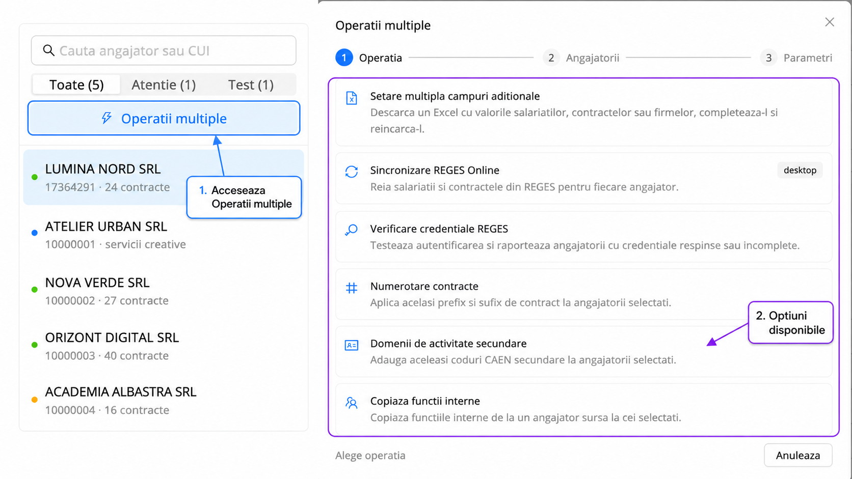 Fereastra Operatii multiple din qPlus